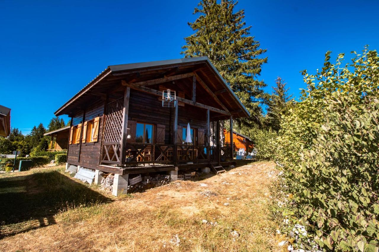 Chalet Du Bois Joli Saint-Laurent-en-Grandvaux Екстериор снимка