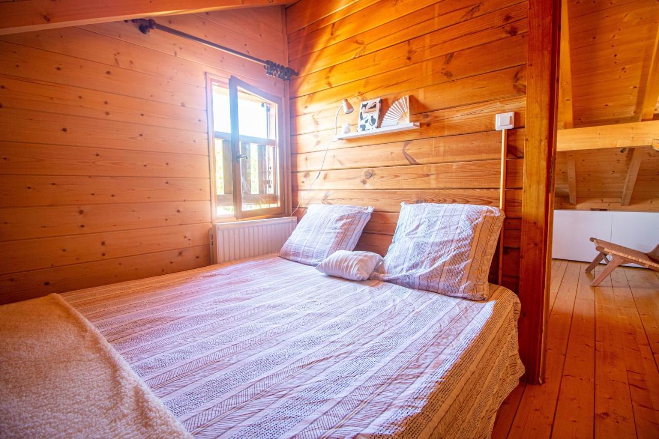 Chalet Du Bois Joli Saint-Laurent-en-Grandvaux Екстериор снимка