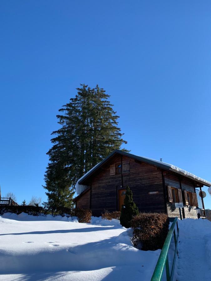 Chalet Du Bois Joli Saint-Laurent-en-Grandvaux Екстериор снимка