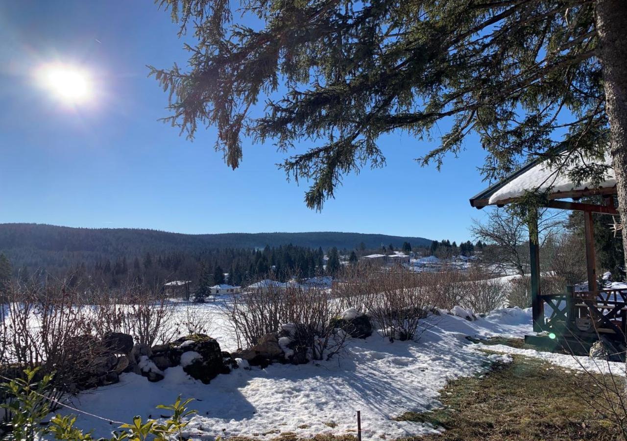 Chalet Du Bois Joli Saint-Laurent-en-Grandvaux Екстериор снимка
