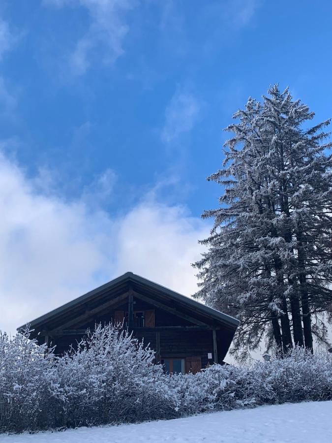 Chalet Du Bois Joli Saint-Laurent-en-Grandvaux Екстериор снимка
